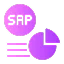 SAP Module Development